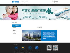 打造卓越数字形象 公司官网网页与网站设计的核心策略